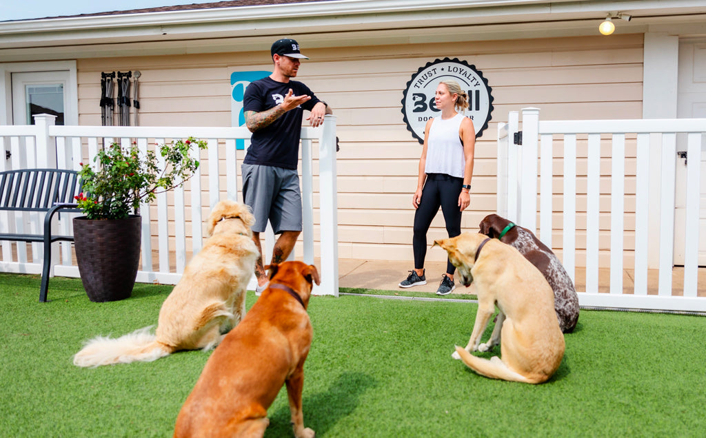 The Benefits of Working with a Dog Behaviorist