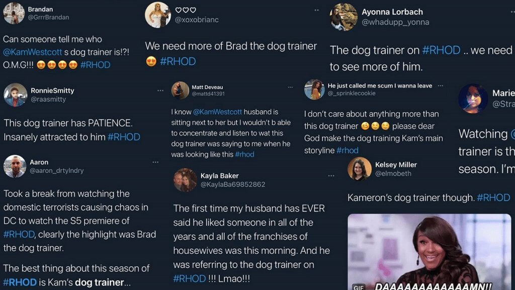 RHOD “Brad the Dog Trainer” Twitter Storm