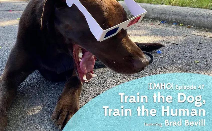 Train the Dog, Train the Human