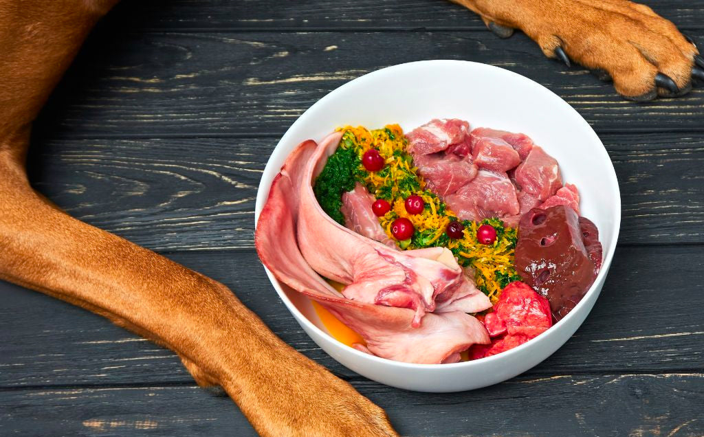 Unleashing the Benefits: The Advantages of Feeding Dogs Raw Food