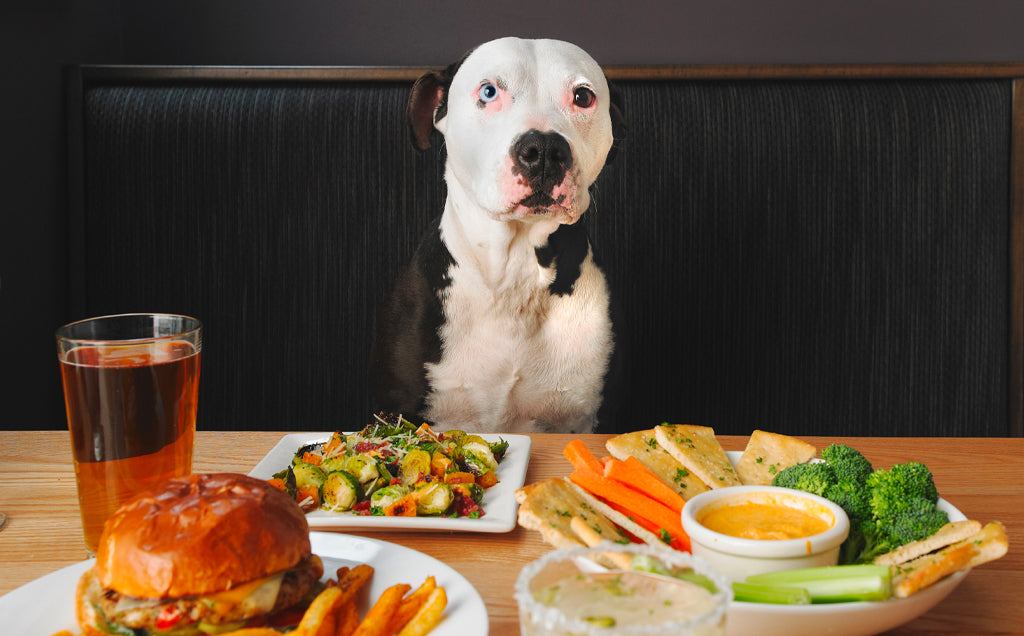Preparing Your Dog for Thanksgiving: A Dog Behaviorist's Guide