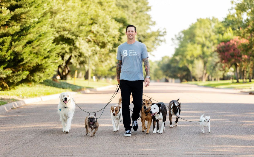 Walk Your Dog! The Positive Impacts of Walking Your Dog.