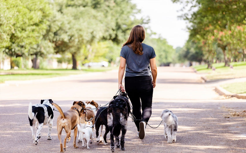 Happy Mother’s Day, Dog Moms!