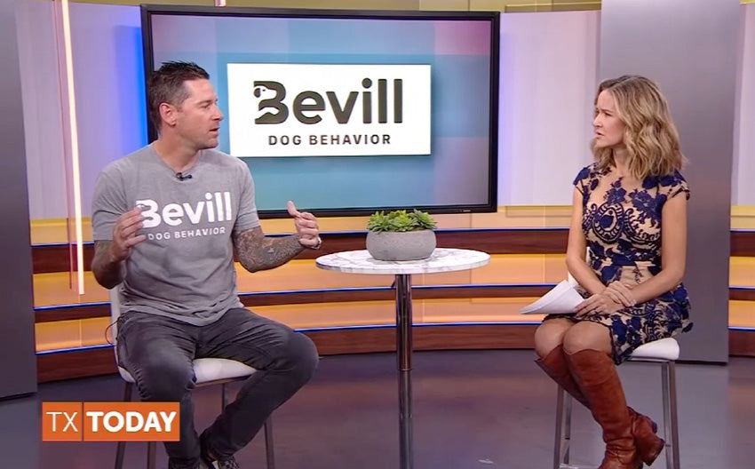 Brad Beville on NBC’s TX | Today