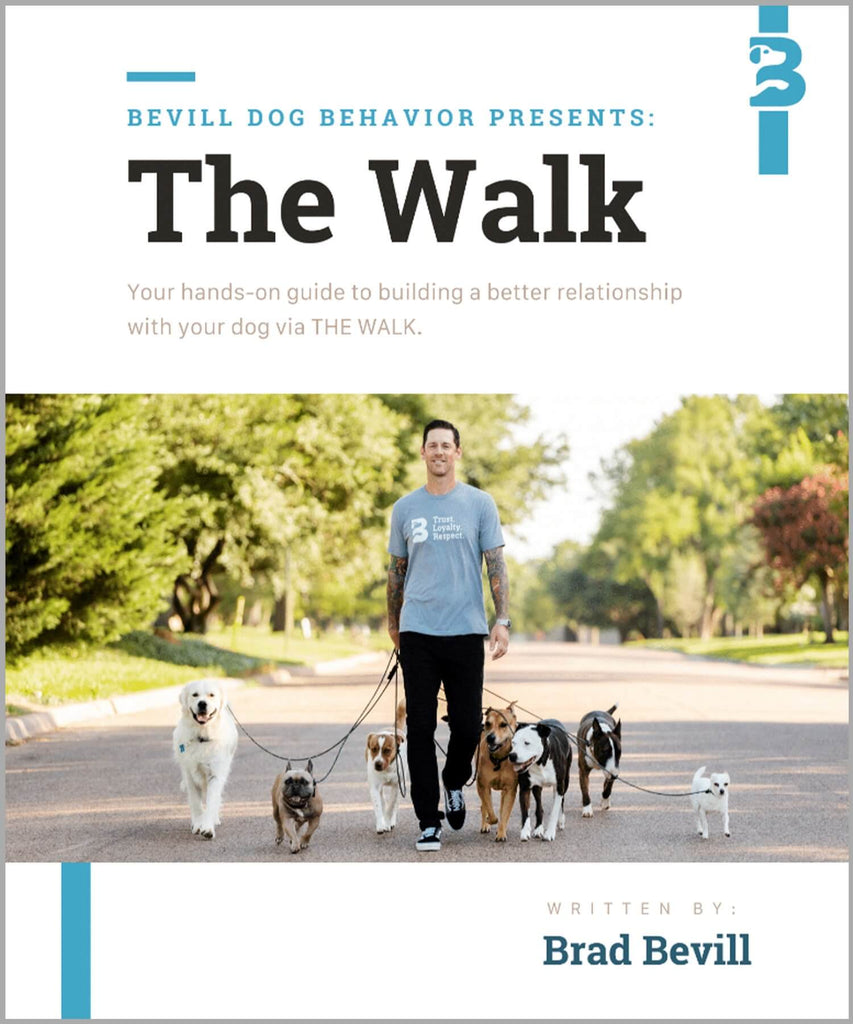E-Book: The Walk